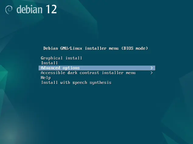 Debian installer advanced options menu screenshot